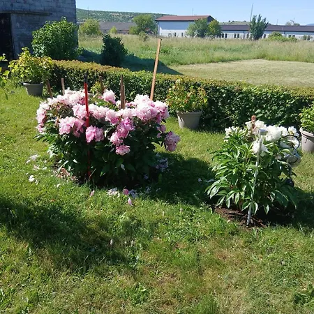 Zgona Dija Apartamento