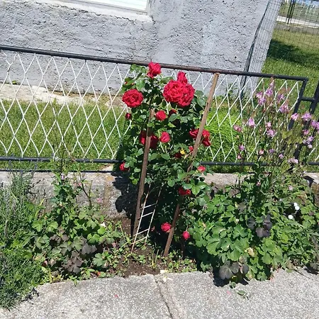 Zgona Dija Apartamento Livno