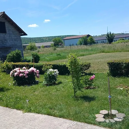 Zgona Dija