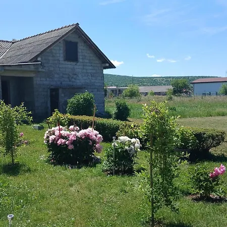 Zgona Dija *